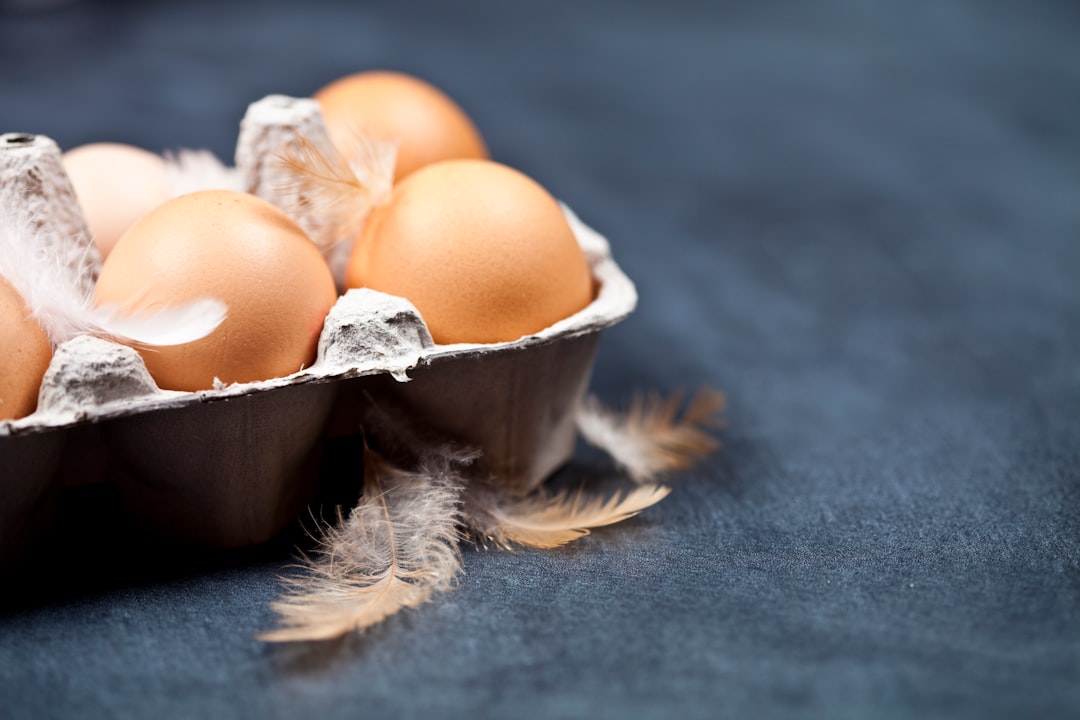 How to Eat Enough Protein as a Woman UK: Smart Nutrition Tips